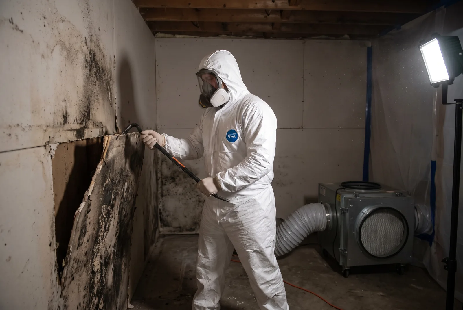 Mold Remediation